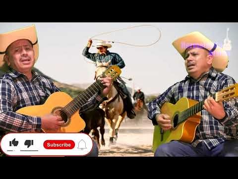 El Novillo Despuntado - Hermelando y Mr. H - Estilo Campirano en Guitarra y Requinto - Cantada