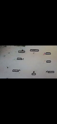 ‏Round 2 #asadhagio1 #ceyda #cumeer #fyp