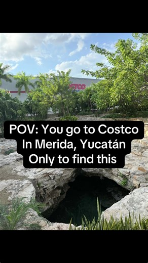 Exploring Cenotes in Merida, Yucatán: A Unique Adventure