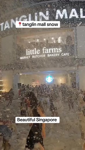 tanglin mall snow#singaporeview #fyp #tiktok