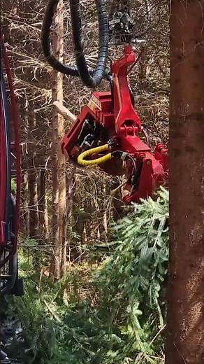 If it's a machine for tight spaces you're after, then Alstor's 850 may be for you 🤤