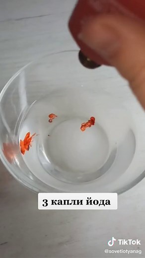 Color Changing Liquid Experiment with Sea Salt