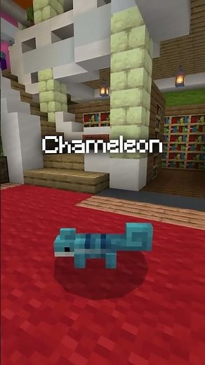 All Pets in Spark Pets Lite Add-On | Minecraft Bedrock Marketplace (PC, PS4, Mobile)