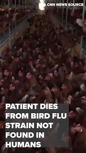 Patient dies from bird flu strain not found in humans