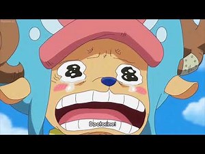 Chopper finally see doctorine after 2 years time skip | one piece clips