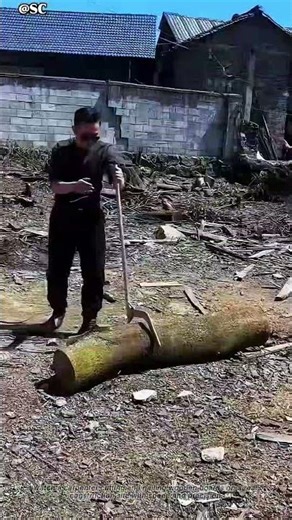 This Logging Tool Saves Insane Effort 🤯 #logging #tools #woodcutting #smarttools #shorts