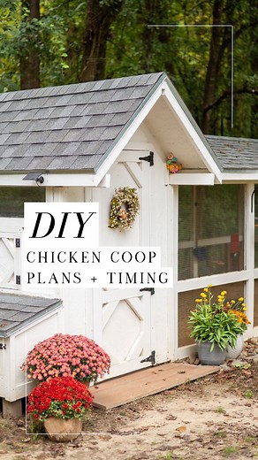 Alysha Whitfield | Bee Jeweled Coop on Instagram: "👇🏼Here’s what you need to know to perfectly time your chicken coop build: 🐥 Chick season starts in FEBRUARY! That means now is the time to start building your chicken coop (or at least planning it). ⏱️ It took us 3 months to build our coop and run setup, plus another year to finish painting and adding the final details. We already had the shell of the coop (we built it as a tree house years ago), so we reconstructed it, a