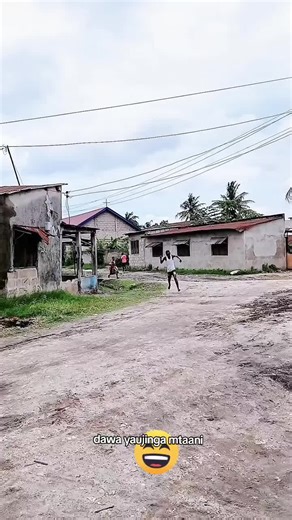 Dawa Yaujinga Mtani: Wanyama wa Kijiji wa Dar es Salaam