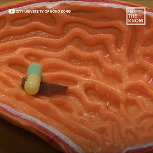 This caterpillar-like robot may be the future of drug delivery 🤔🐛 | In The Know Innovation