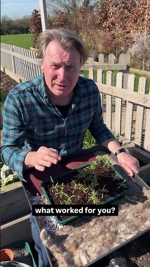 Slug Control - What actually works? #gardening #homegarden #garden