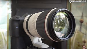 A Review of the Canon RF 100-500mm f/4.5-7.1L IS USM Lens