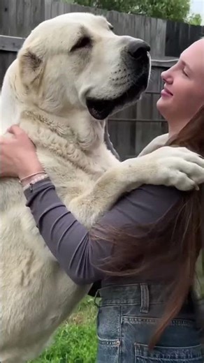 Animal Glow Ups You Won’t Believe Are the Same Animal! 😳