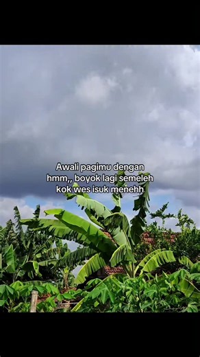 449K views · 8.6K reactions | #jowostory #fyp | Bang Jago | Facebook