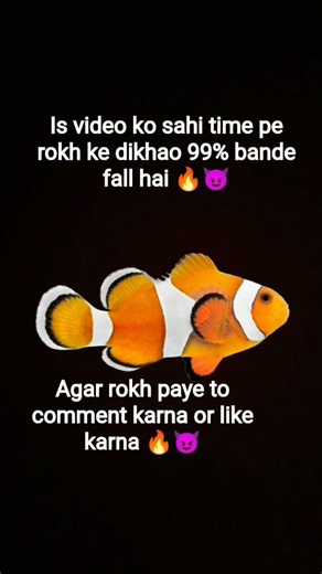 99% Log Fail 😈 Sahi Time Pe Fish Ko Rok Ke Dikhao! 🔥# short # youtube # viral # effect # fish #trend