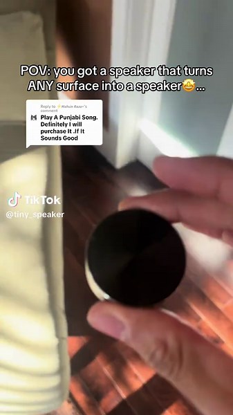 TinySpeaker on TikTok