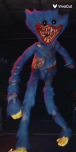 Its Vivacut turn😔✌️