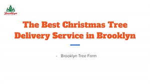 The Best Christmas Tree Delivery Service in Brooklyn