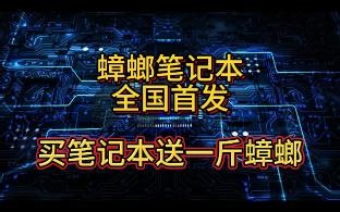 蟑螂笔记本全国首发 生物与电子的结合 共创 生物电子智慧