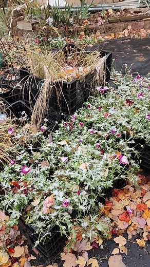 100 reactions · 13 comments | Now through December 31st, all gift...