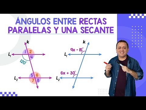 Exercises on Angles Between Parallel Lines and a Secant