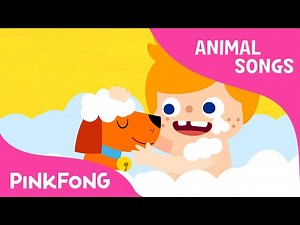 My Pet, My Buddy | Animal Songs | Pinkfong Songs for Children - Videos For Kids