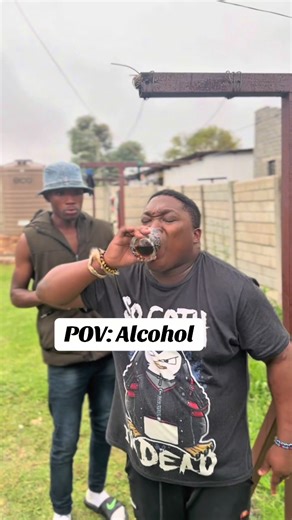 The Effects of Alcohol: A POV Perspective