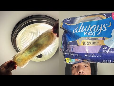Mold in Always Pads?.. - According To TikTok