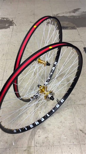 29er bmx wheels! profile elite disc to alienation malice rims #bmx #bikebmx #bikelife #weoutside #gt