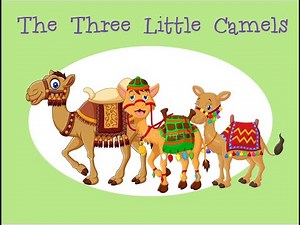 The three little camels
