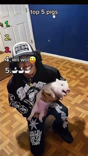 Hilarious Pig Fails: Top 5 Compilation #usa #funnyvideo #top5 #pig #cutepig #pigvideos #animalhumor