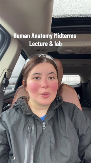 #college #humananatomy #midterms #exam #studentlife | Anatomy Student