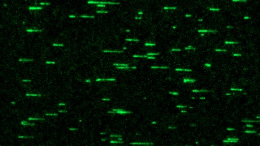 How protein assemblies drive cell movement