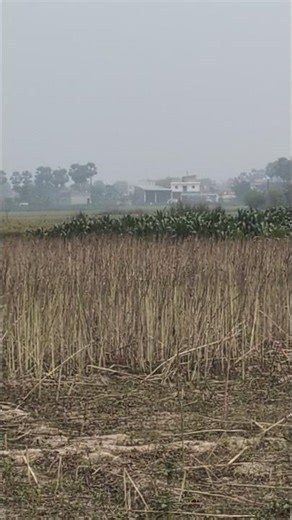 Google pixel 9A Camera najre ladki