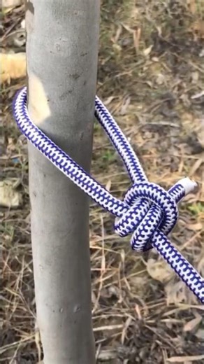 Learn Practical Knots For Daily Life #gtk #rope #knot #survivalknot