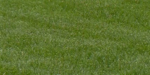 Now’s the time to start lawn seeding for fall