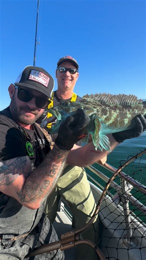 Grant Howard on Instagram: "Been using VIP OUTDOORS - Eels! They have been killing it. Go get you some (light colors, water has a lot of color to it lately) @outdoorsvip #fishing @stlhd_gear #lingcod #boatlife #saltlife #oregon"