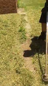 Clearing A Path To A House!