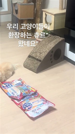 고정댓글 링크“눌러주세요,