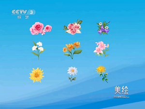 CCTV3综艺频道ID