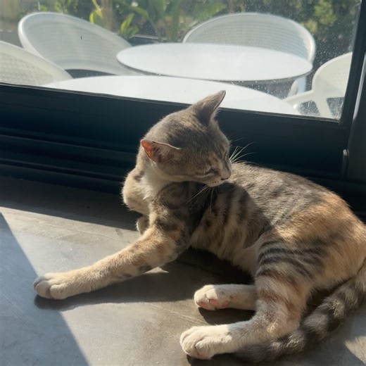 12K views · 19 reactions | Najla Ben Abdallah on Reels | Facebook