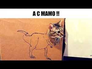 MEMES RANDOM #173