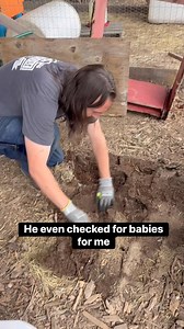 250K views · 1.6K reactions | If you hear me cussing in this video…...