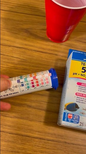 Easiest Way to Test Fish Tank Water #shorts