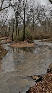 11K views · 314 reactions | I love when two streams come together. This is at Markham Spring in Ellsinore, Missouri. This is a pretty little park with a bubbling spring and a metal waterwheel. #Missouri #spring #creek #nature | Show Me Creeks | Facebook