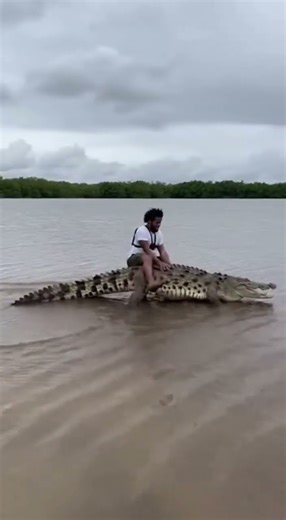 Ep 65: Funny Crocodile Moments That Will Make You Laugh 🐊🐊🐊 #FunnyCrocodile #PetCrocodile