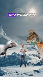 Nanuqsaurus vs. Cryolophosaurus: The Battle of the Poles 🦖💥 In this epic battle of the polar predators, let's break down their strengths and weaknesses: Nanuqsaurus, a small relative of T. rex, was a top predator of Alaska. With its powerful jaws and agile body, Nanuqsaurus could deliver bone-crushing bites to its prey. Its serrated teeth were perfect for taking cookie-cutter bites out of its prey, making it a formidable opponent in combat. Cryolophosaurus, with its distinctive crest on its he