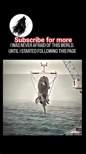 Leviathan_is_a_multifaceted_symbol_that_originated_in_the_mythology_of_the_ancient_Near_East_and_in_