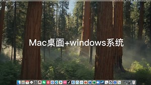Mac桌面+windows系统最优解！
