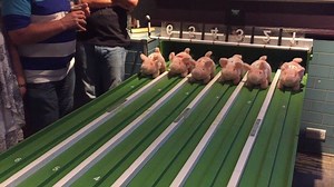 2.2K views · 69 reactions | This summer, we're kickstarting an exciting collaboration with Windhoek Beer with a range of fun events and activities, such as the annual Charity Piggy Race night at The Pig and Whistle! We had such a fun evening, raising amazing £1,250 for rhino conservation. We can't wait for future events! Find out more information about our partnership at https://www.savetherhino.org/about-us/meet-our-partners/namibia-breweries/ | Save the Rhino International | Facebook