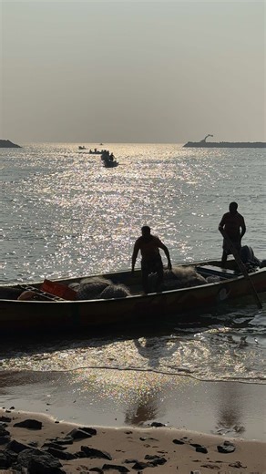 Indian video sketches 🇮🇳 #india #summertime #видеозарисовки #videosketch